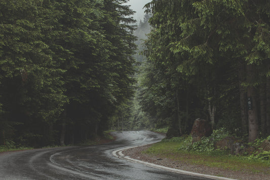 Wat is petrichor? Waarom regen zo lekker ruikt